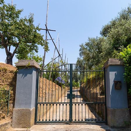 Villa Ada سورينتو المظهر الخارجي الصورة