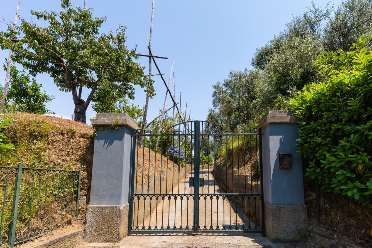 Villa Ada سورينتو المظهر الخارجي الصورة